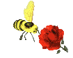 ape e rosa.gif